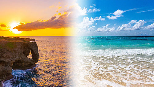 相続のプロ司法書士・行政書士